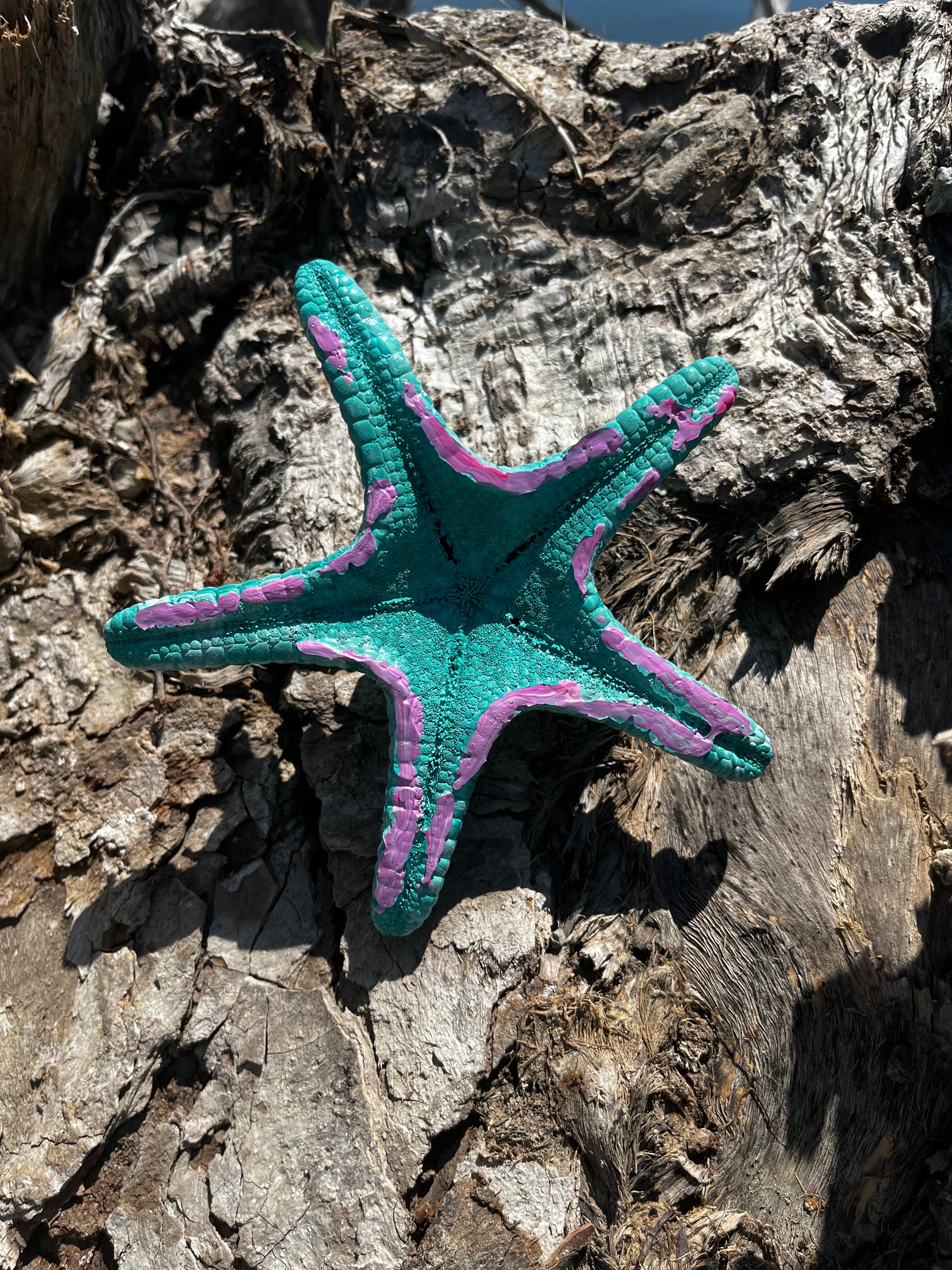 Painted Starfish