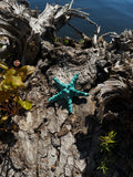 Painted Starfish