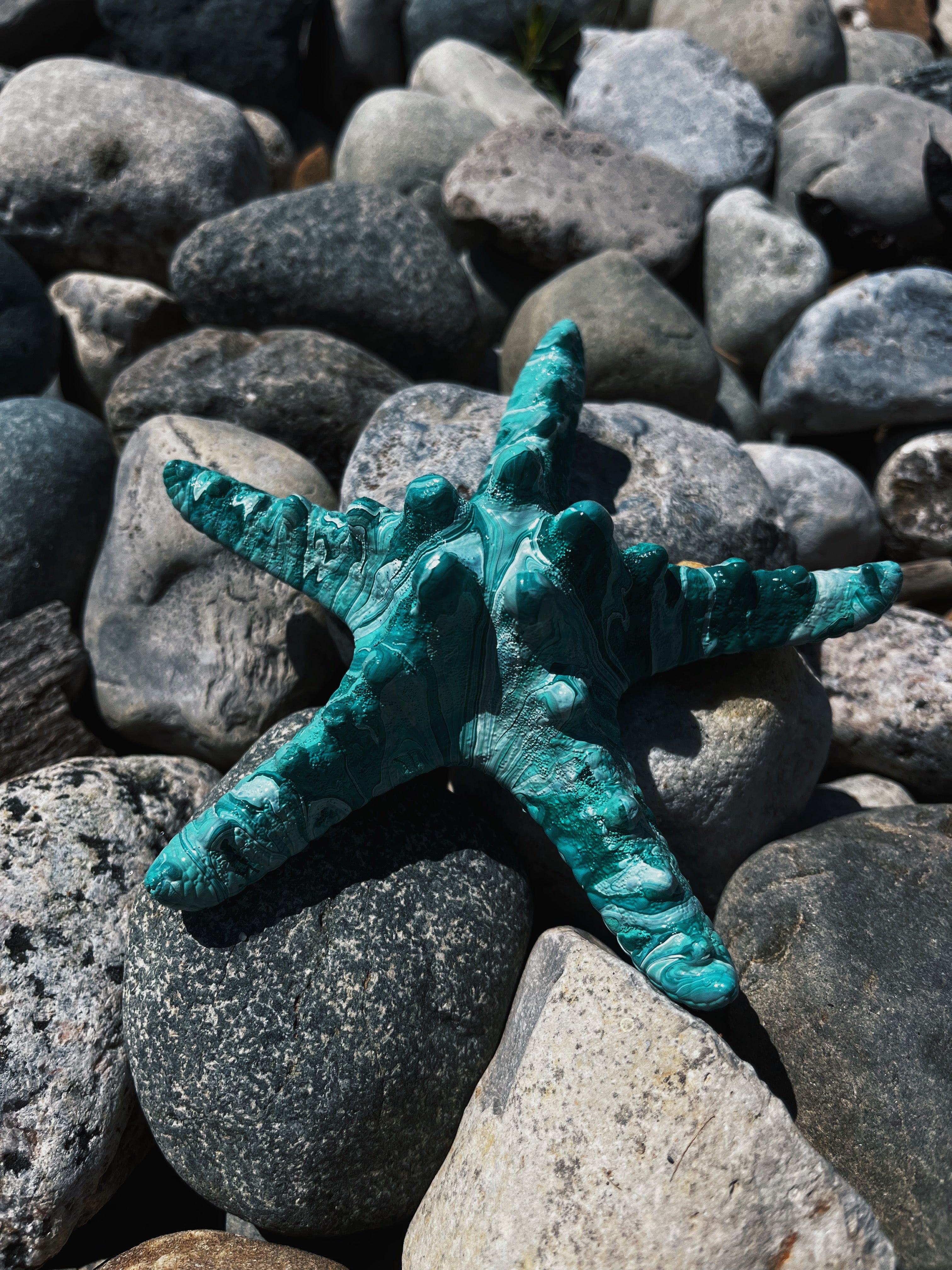 Painted Starfish